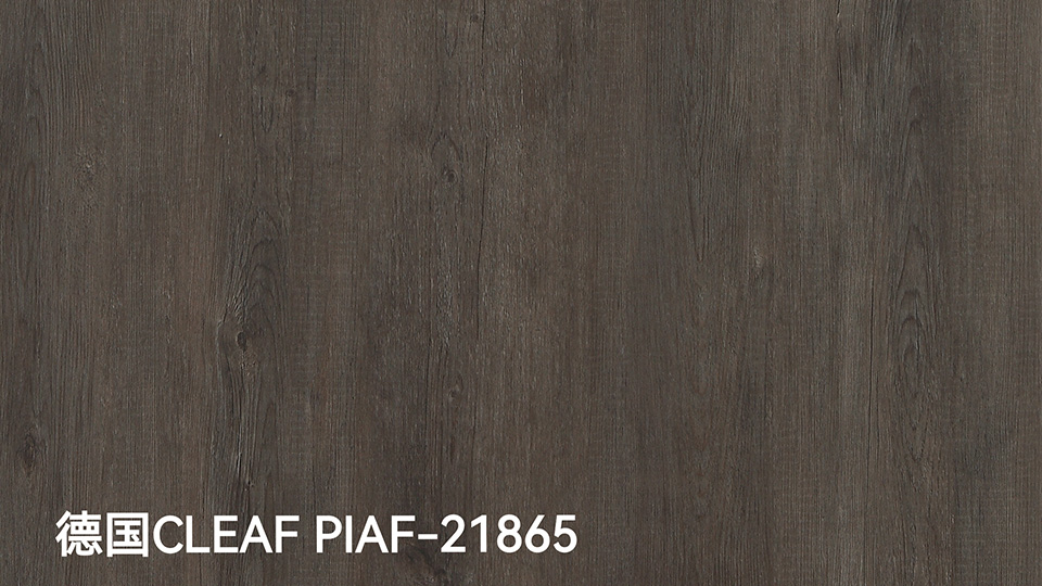 德国CLEAF PIAF-21865-0