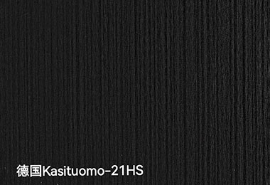 德国Kasituomo-21HS