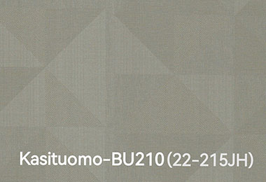 Kasituomo-BU210 (22-215JH)
